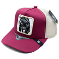 Gorra Animal Malla | PANTERA